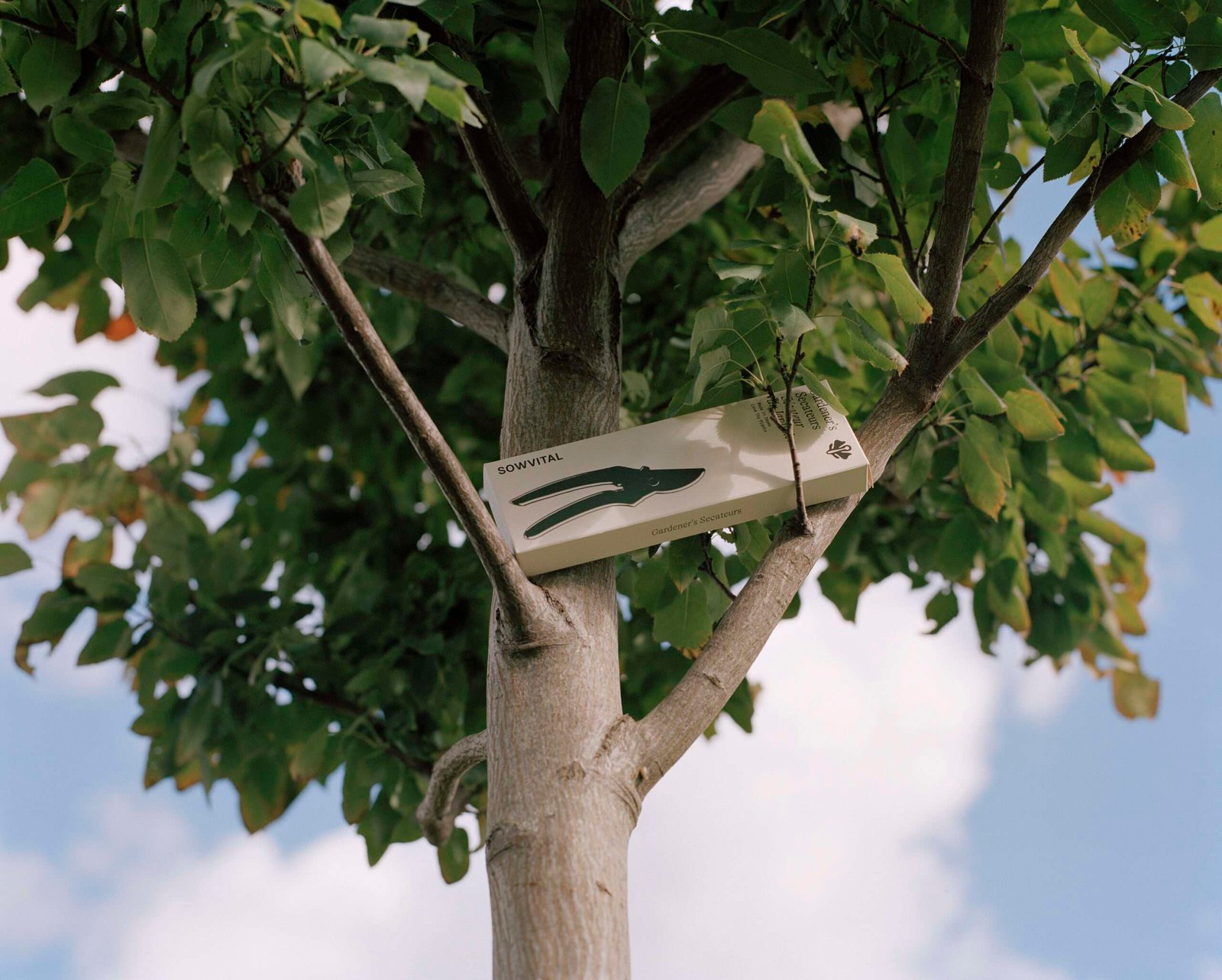 Sowvital Gardener’s Secateurs - Image 4