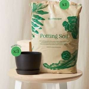 Collections Repotting Kit (6″ Pots)