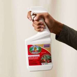 Captain Jack’s Deadbug Brew