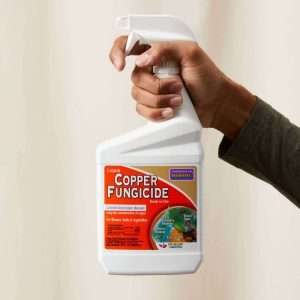 Liquid Copper Fungicide
