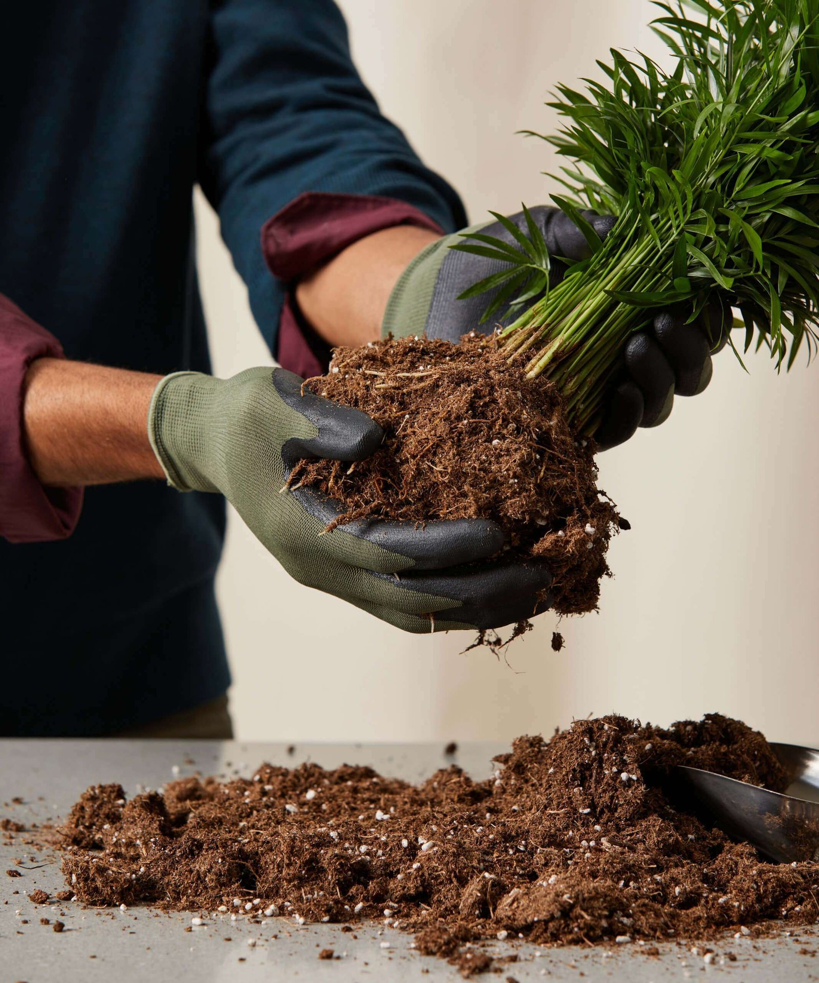 Potting Soil - Image 2