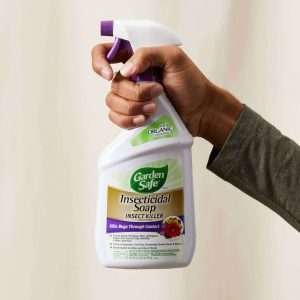 Insecticidal Soap