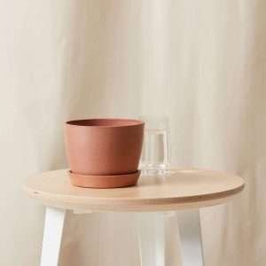 Ecopots Round Pot – 6″