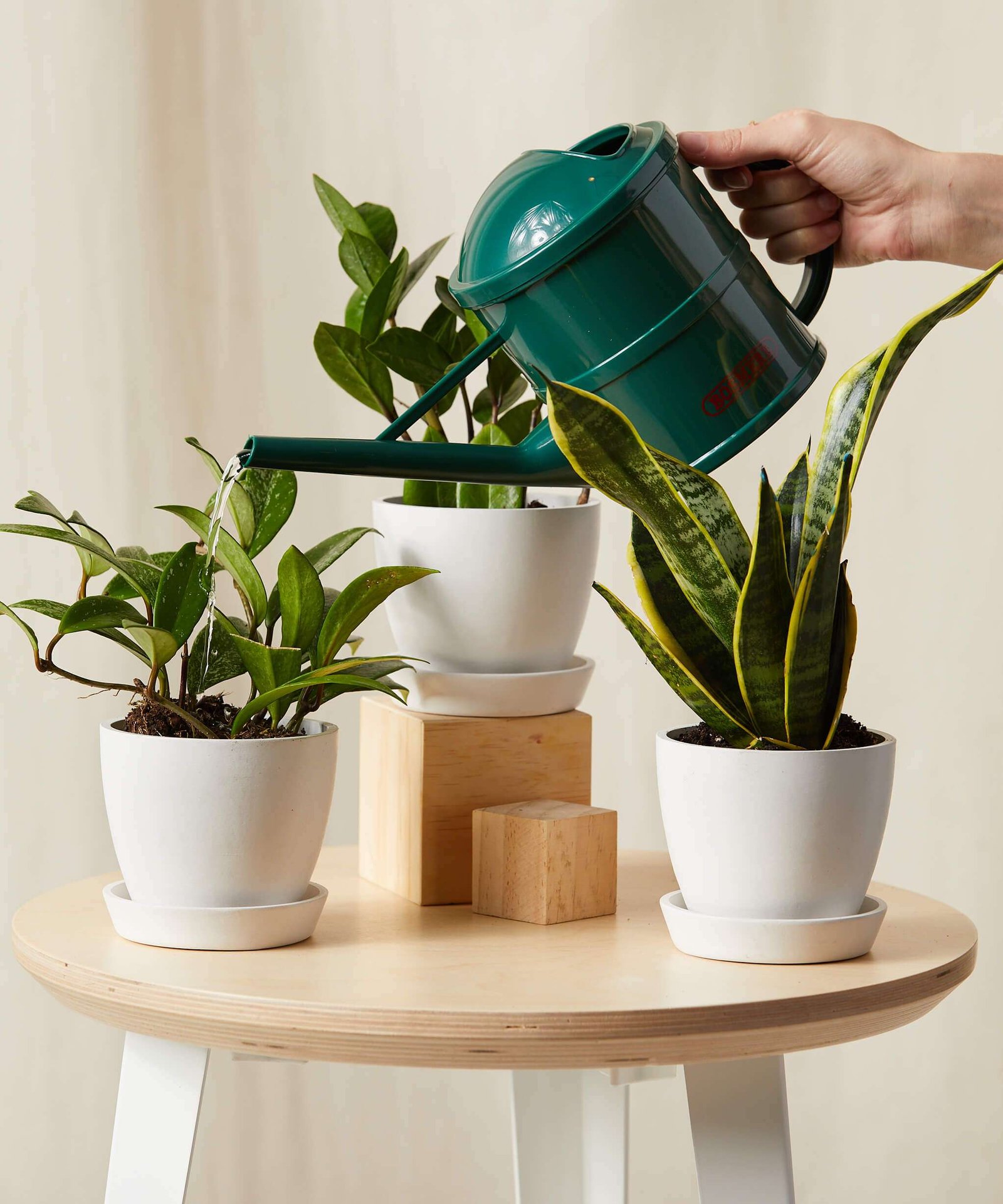 Tough Stuff Collection - Image 2