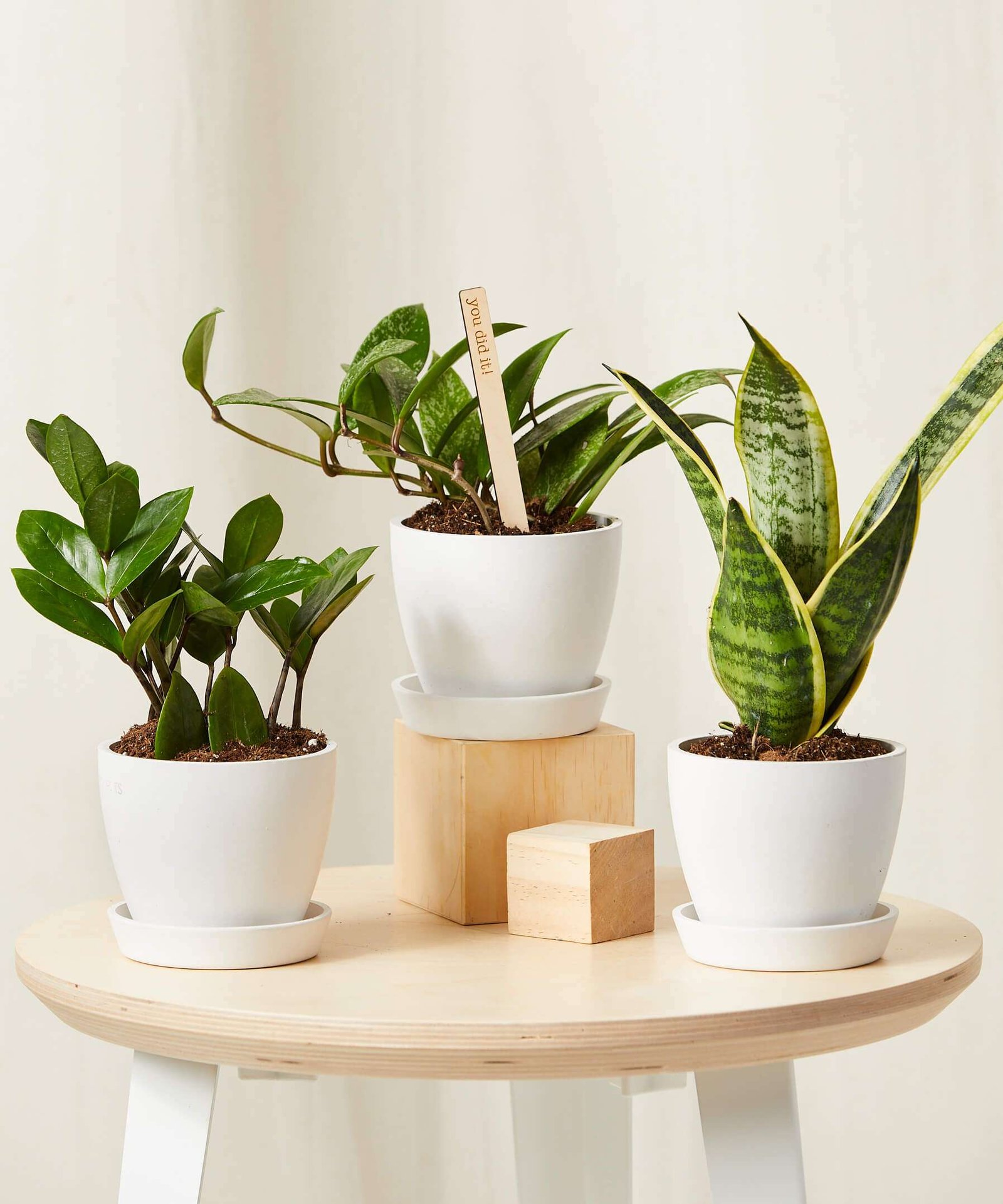 Tough Stuff Collection