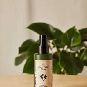 House Plant Spritz