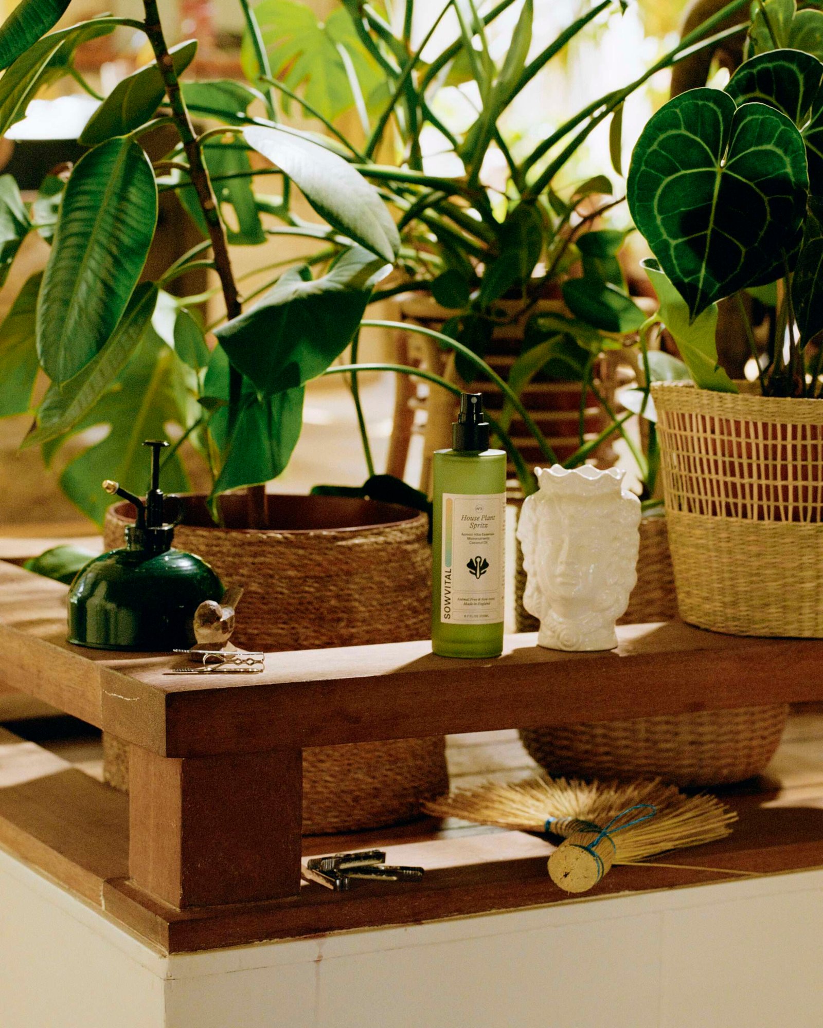 House Plant Spritz - Image 3